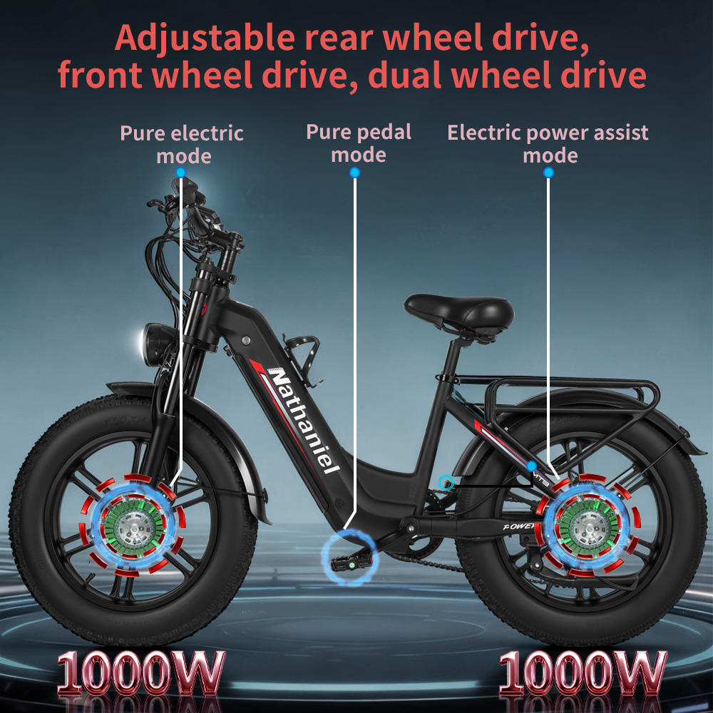 Adult Electric Bicycle Nathani - đánh giá và giá Dual Motor Ebike Kit 2000W